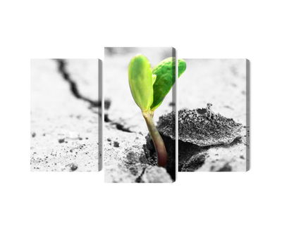 Ljuddämpande tavla - 3d plant sprouting