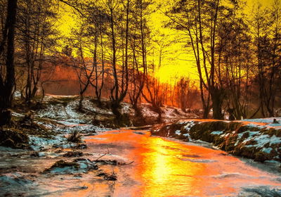 Ljuddämpande tavla - Sunset in the forest