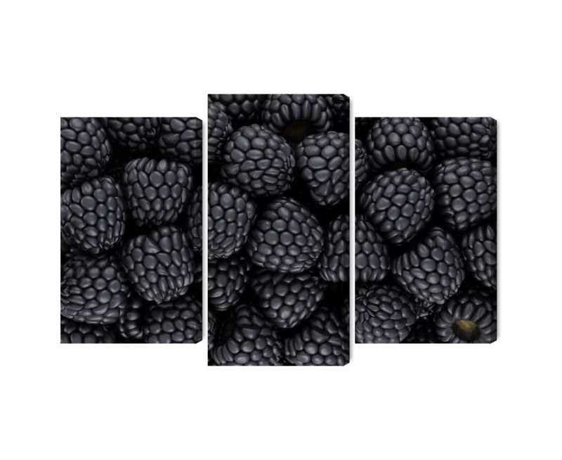 Ljuddämpande tavla - Blackberries on a macro scale