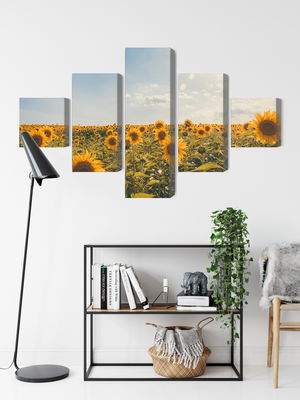Ljuddämpande tavla - Sunflower field on a summer