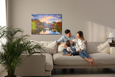 Ljuddämpande tavla - Belvedere castle in central