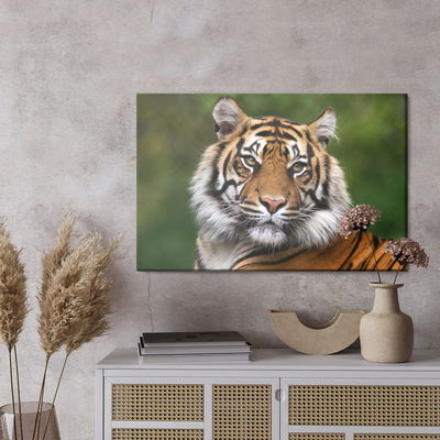 Ljuddämpande tavla - Portrait of a bengal tiger