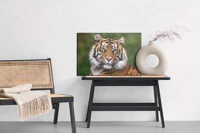 Ljuddämpande tavla - Portrait of a bengal tiger