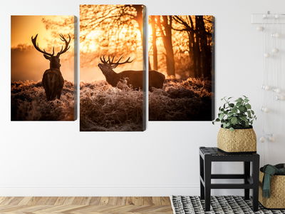 Ljuddämpande tavla - Two deer in the forest