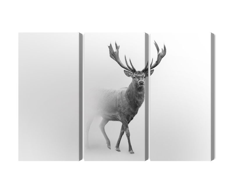 Ljuddämpande tavla - A stately deer in the fog