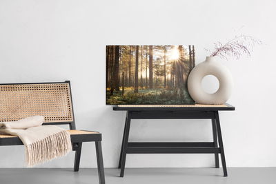Ljuddämpande tavla - Sunrise in the coniferous