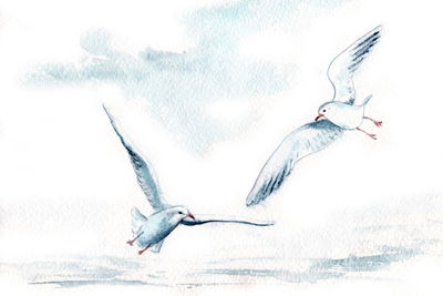 Ljuddämpande tavla - White birds with watercolour