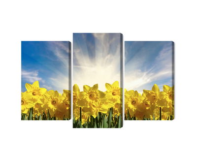 Ljuddämpande tavla - 3d daffodils field