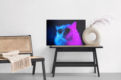 Ljuddämpande tavla - Cat with sunglasses