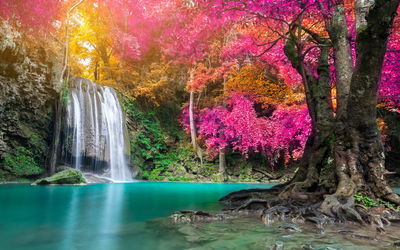 Ljuddämpande tavla - A beautiful forest waterfall