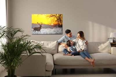 Ljuddämpande tavla - A deer on the background