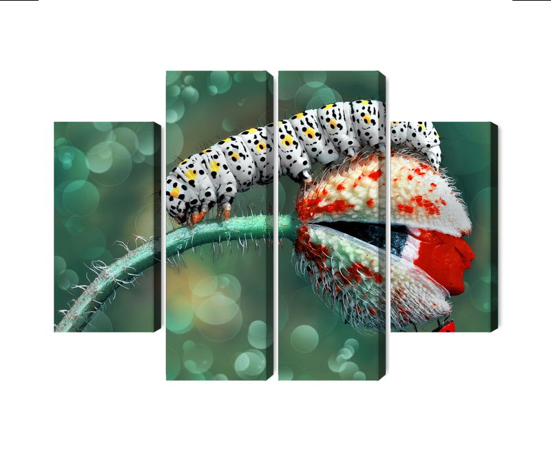 Ljuddämpande tavla - A caterpillar and a ladybug