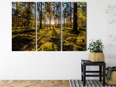 Ljuddämpande tavla - Morning sun rays