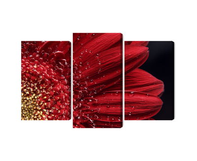 Ljuddämpande tavla - Flower petals on a macro