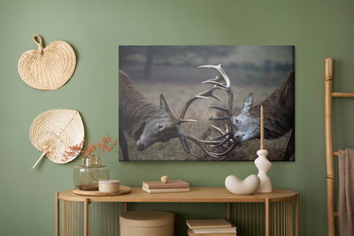 Ljuddämpande tavla - Fighting deer