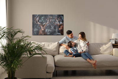 Ljuddämpande tavla - Two magnificent stags