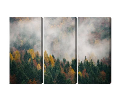 Ljuddämpande tavla - Autumn forest in fog 3d
