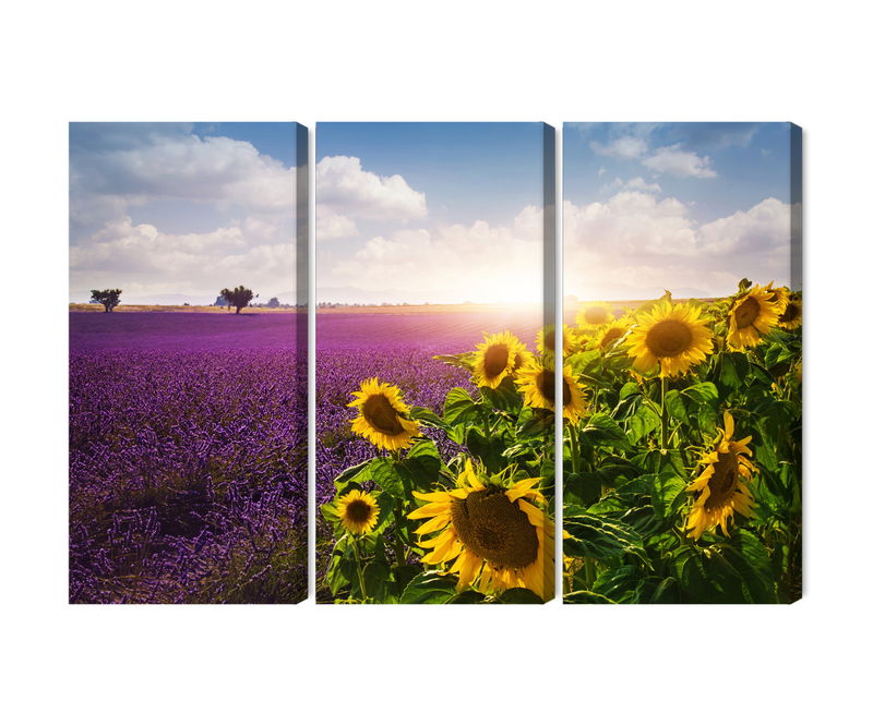 Ljuddämpande tavla - Lavender and sunflower