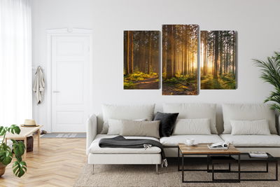 Ljuddämpande tavla - Sunset in the forest