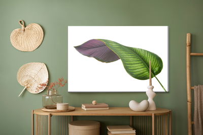 Ljuddämpande tavla - Calathea leaf