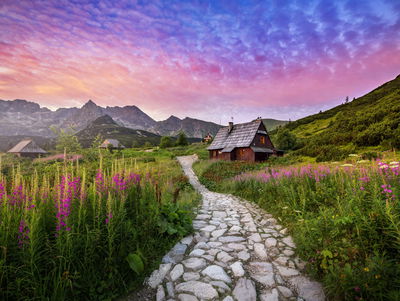 Ljuddämpande tavla - Hala gasienicowa