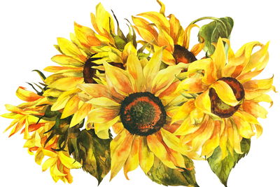 Ljuddämpande tavla - Sunflowers as painted