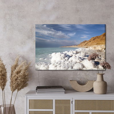 Ljuddämpande tavla - View from the dead sea