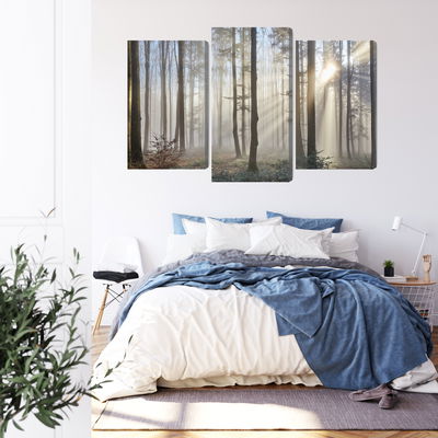 Ljuddämpande tavla - Sunrise in the woods