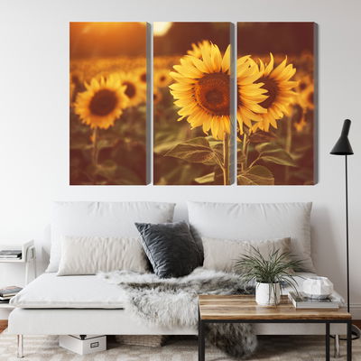 Ljuddämpande tavla - A field of sunflowers