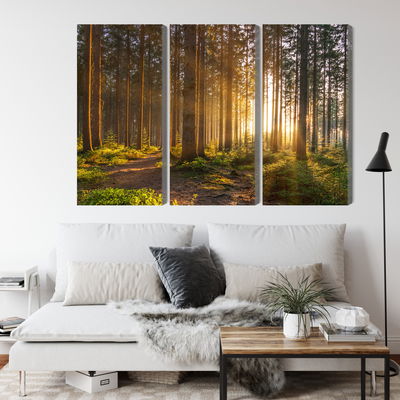 Ljuddämpande tavla - Sunset in the forest