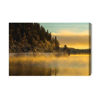 Ljuddämpande tavla - Winter country