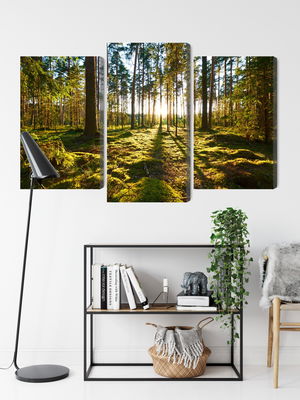 Ljuddämpande tavla - Forest landscape with sunset