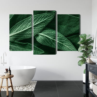 Ljuddämpande tavla - Salvia leaves on a macro