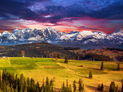 Ljuddämpande tavla - Landscape with the polish