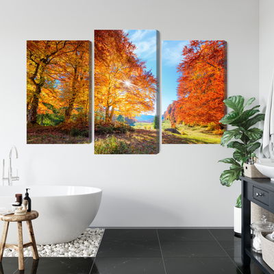 Ljuddämpande tavla - Colourful autumn trees