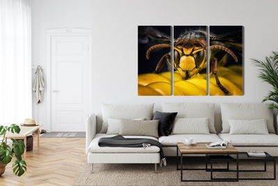 Ljuddämpande tavla - Wasp on a macro scale