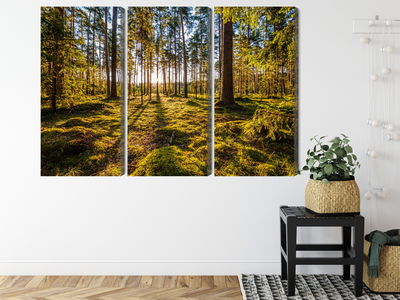 Ljuddämpande tavla - 3d sunny forest landscape