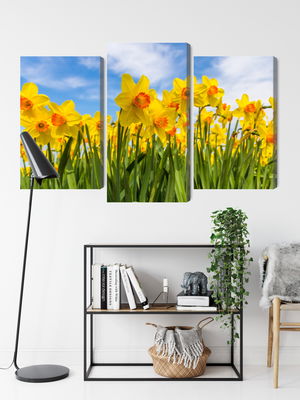 Ljuddämpande tavla - Daffodil field 3d