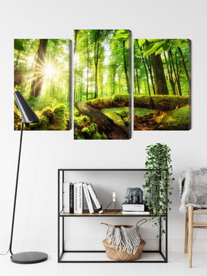 Ljuddämpande tavla - Rays of the sun in the 3d