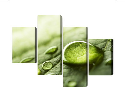 Ljuddämpande tavla - Water drops on a leaf