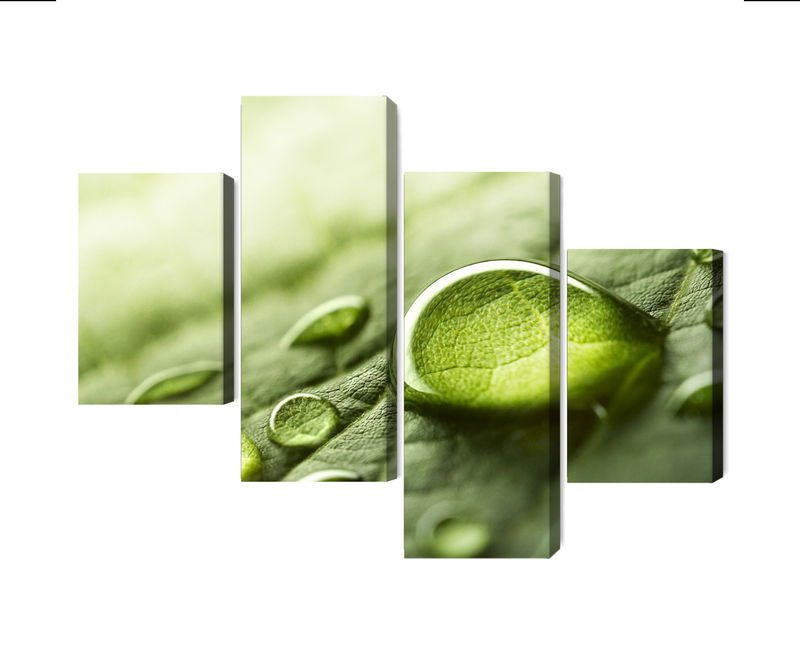 Ljuddämpande tavla - Water drops on a leaf