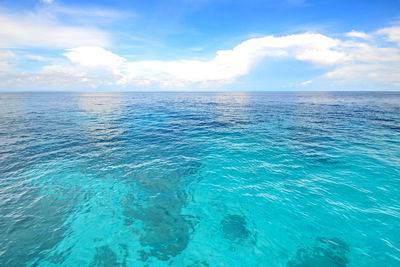 Ljuddämpande tavla - Paradise sea and sky