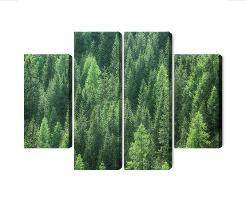 Ljuddämpande tavla - 3d green forest view