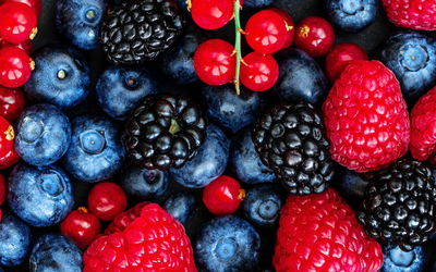 Ljuddämpande tavla - Forest fruits on a macro