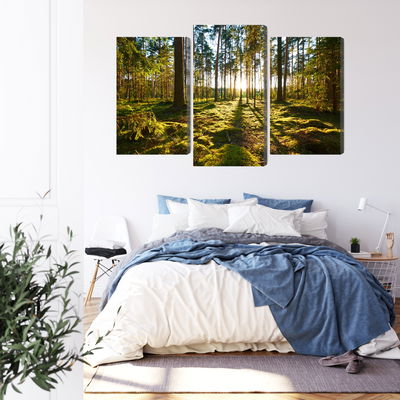 Ljuddämpande tavla - Forest landscape with sunset