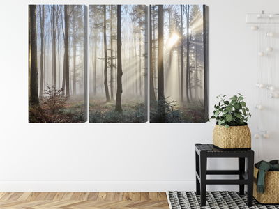 Ljuddämpande tavla - Sunrise in the woods