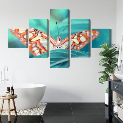 Ljuddämpande tavla - Butterfly on a leaf in macro