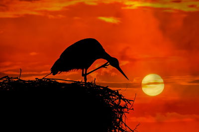 Ljuddämpande tavla - Bird in the nest