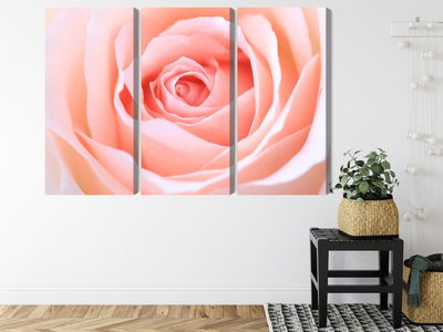 Ljuddämpande tavla - Pastel rose on a 3d macro