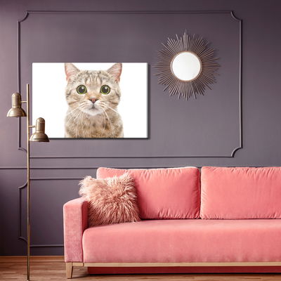 Ljuddämpande tavla - Scottish prostitute cat